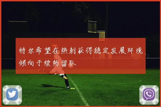 特尔希望在热刺获得稳定发展环境倾向于续约留队